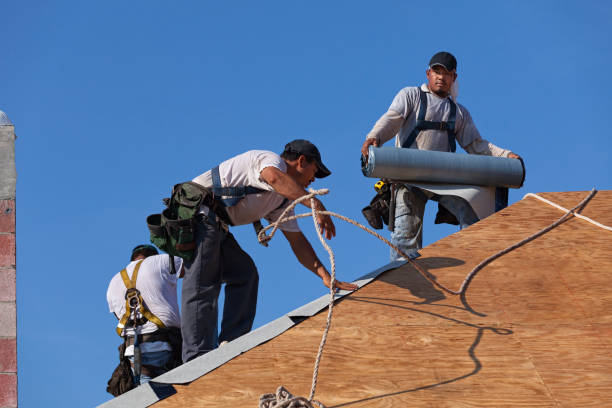 Best Metal Roofing Contractor  in Luxora, AR
