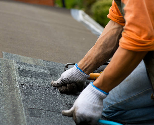 Best Roof Leak Repair  in Luxora, AR